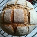 Pane di grano tenero integrale