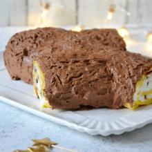 Tronchetto di natale con il panettone